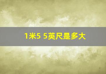 1米5 5英尺是多大